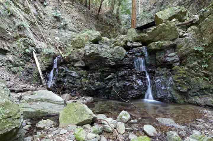 �����̑�E���ʂ�� 